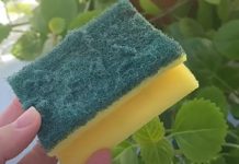 Ne bacajte stari sunđer: Malo ko zna koliko je zapravo koristan u kući