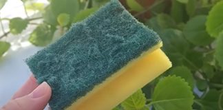 Ne bacajte stari sunđer: Malo ko zna koliko je zapravo koristan u kući