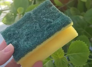 Ne bacajte stari sunđer: Malo ko zna koliko je zapravo koristan u kući