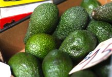 Važno je znati: Kada je braon avokado bezbjedan za jelo, a kada ne