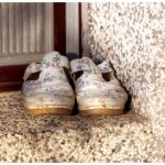 Nema gore nesreće nego ako pred vratima imate ovo: Veruje se da donosi bedu i siromaštvo u kuću