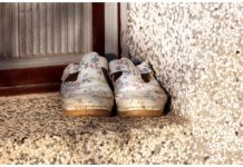 Nema gore nesreće nego ako pred vratima imate ovo: Veruje se da donosi bedu i siromaštvo u kuću