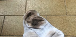 Izbeljivač je stvar prošlosti: Čarape će biti bele kao sneg ako ih operete sa 1 namirnicom