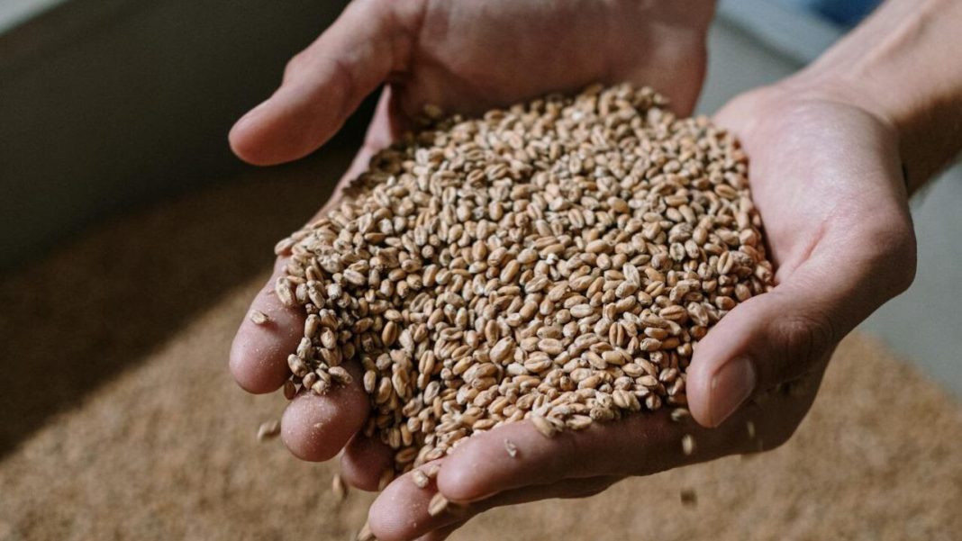 124840_pexels-cottonbro-5538161-e1743498392805_ig