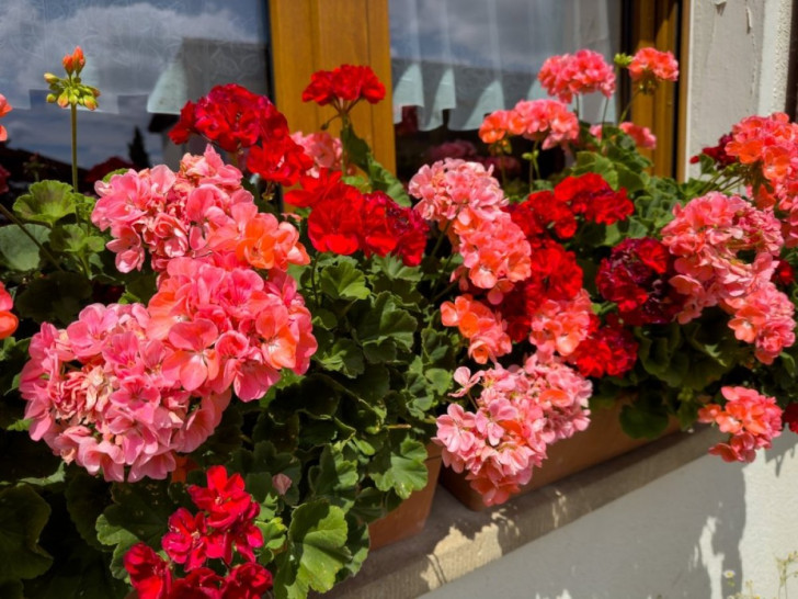 20260406200040_628829