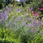 9 biljaka koje nikada ne bi trebalo da orezujete u aprilu: Ovo cveće ostavite na miru ako ne želite da ga upropastite