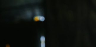 ODRADITE RITUAL KOJI ŠTITI OD ZLA: Negativna energija će se ODBIJATI od vas, potrebno vam je OVO lišće i voda!