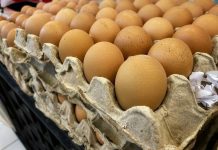 Jaja na tanjiru: Koliko su zaista zdrava i kada treba biti oprezan?