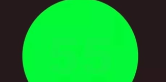 99% ljudi vidi zeleni krug, ali samo oni s IQ iznad proseka uoče i skriveni broj: Jeste li vi među njima?