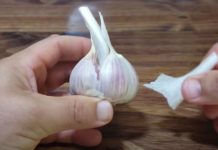 Ova greška sa belim lukom može izazvati ozbiljne probleme: Lekari upozoravaju da ovako ne sme da se jede