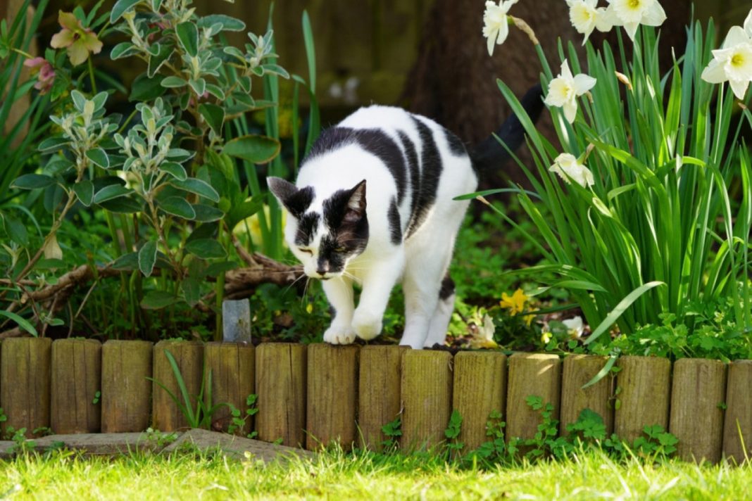 905793_shutterstock-2378420543_fxl