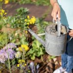 Zalijte biljke ovim rastvorom od samo 2 sastojka, bujaće i cvetati kao pomahnitale