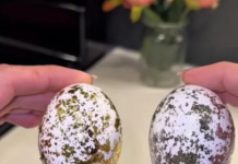 Milioni oduševljeni trikom: 1 sastojak iz hladnjaka pretvara obična jaja u luksuzna remek-djela