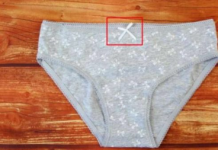 ZNATE LI ČEMU SLUŽI MAŠNICA NA ŽENSKIM GAĆICAMA? Odgovor na ovo pitanje ŠOKIRAO JE MNOGE, a istina o ovom detalju je zanimljiva!