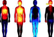 9 vrsta boli koje su izravno povezane s psihom: Bol u ramenu – teški emotivni teret!