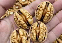 Ljekari otkrivaju: Šta jedenje oraha može učiniti za vaše zdravlje