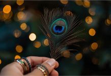 Zašto treba da držite paunovo pero na radnom mestu? Smanjuje ono što uvek dovede do čarki sa kolegama