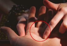 Linija srca: Otkrijte svoje skrivene osobine i veze sa ljudima