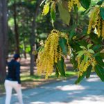 Čini vam se da su vam proljetne alergije sve gore? Istina je, a ovo je razlog. Znanstvenici nemaju dobre vijesti