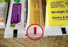 OBRATITE PAŽNJU: Evo šta znače boje na dnu ambalaže pasti za zube!