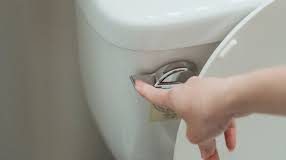 Stručnjak: ‘Fuj! Evo što zapravo leti zrakom vaše kupaonice kad pustite vodu s podignutim poklopcem‘