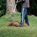 Ne zaboravi ovo uraditi u aprilu: Travnjak će dobiti lijepu, zelenu boju