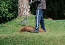 Ne zaboravi ovo uraditi u aprilu: Travnjak će dobiti lijepu, zelenu boju