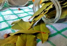 Lovorov list i beli zubi: prirodni trik ili samo mit?