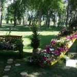 Već od danas stavite staru šolju u baštu i vrt, napravićete ogromnu promenu