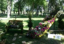 Već od danas stavite staru šolju u baštu i vrt, napravićete ogromnu promenu