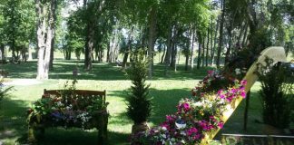 Već od danas stavite staru šolju u baštu i vrt, napravićete ogromnu promenu