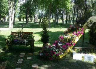 Već od danas stavite staru šolju u baštu i vrt, napravićete ogromnu promenu