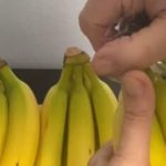 EVO KAKO DA VAM BANANE NE POCRNE I TRAJU ČAK GODINU DANA: