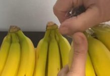 EVO KAKO DA VAM BANANE NE POCRNE I TRAJU ČAK GODINU DANA: