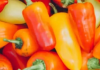 Ne bacajte peteljke od paprika: Evo kako ih možete iskoristiti kao tajni sastojak u jelima