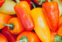 Ne bacajte peteljke od paprika: Evo kako ih možete iskoristiti kao tajni sastojak u jelima