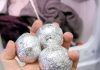 Stavila je ispred vrata zgužvani komad aluminijske folije – riješila se preko noći problema koji je prisutan u mnogim kućama.