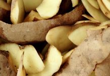 Prestala sam bacati kore od krumpira u komunalni otpad: KORISNI SAVJETI KOJE BI SVI TREBALI ZNATI